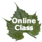 online class