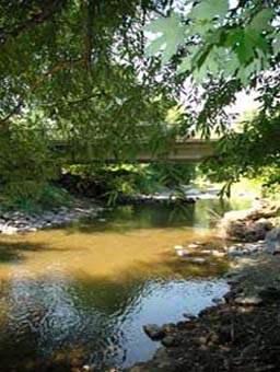 spriver pic